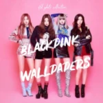 Logo of Black Pink Wallpapers HD android Application 